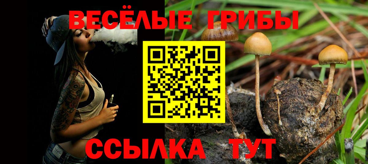 Еманжелинск  Псилоцибиновые грибы мицелий  Вход с VPN 